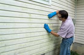 Affordable Siding Repair and Maintenance Services in Sugarmill Woods, FL